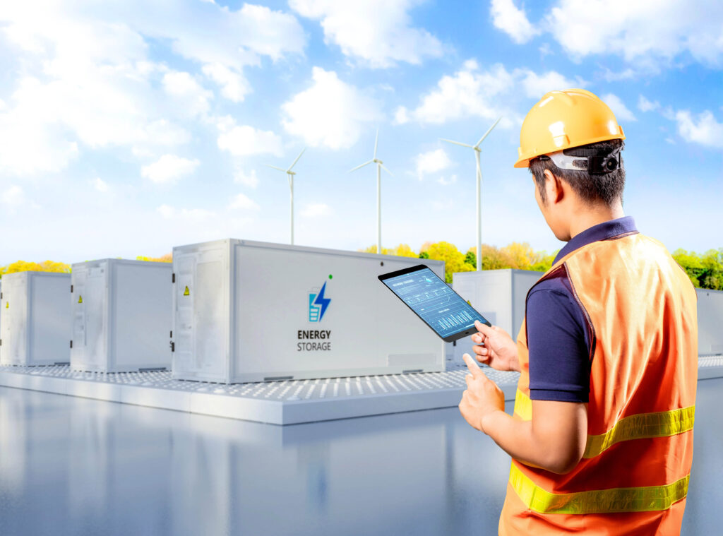 Battery Monitoring Unit (BMU)